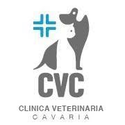 Clinica Veterinaria Cavaria