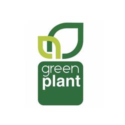 Green Plant Vivai