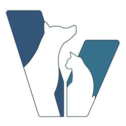 Ambulatorio Veterinario Verdello