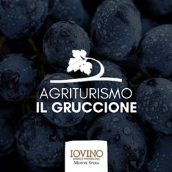 Agriturismo Il Gruccione