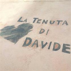 La Tenuta di Davide