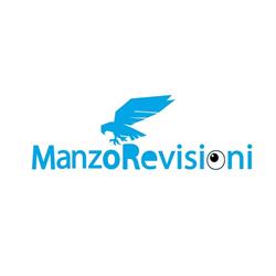 Manzo Revisioni
