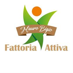 Fattoria Attiva di Bigio Mauro