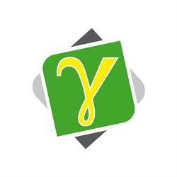 VLI SRL Gammasystem