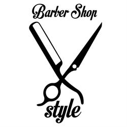 Xstyle di De Biasio Xavier