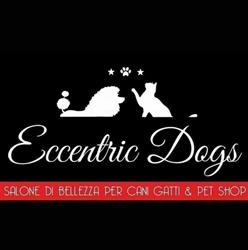 Eccentric Dogs