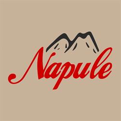 Pizzeria Napule
