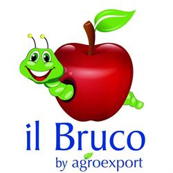 Il Bruco