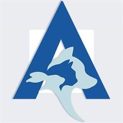 La Clinica Degli Animali