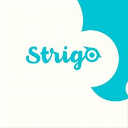 Ottica Strigo
