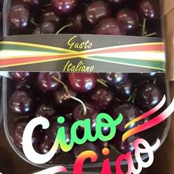 Tuttifrutti