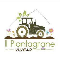 Vivaio Il Piantagrane di Federico Fabris