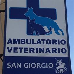 Ambulatorio Veterinario San Giorgio