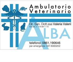 Ambulatorio veterinario Alba