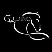 D.E.M Equitazione - Centro Equestre Del Guidino