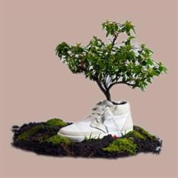 STOCK Scarpe Casoria