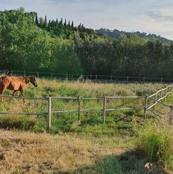 Fattoria Didattica Ca' di Simone