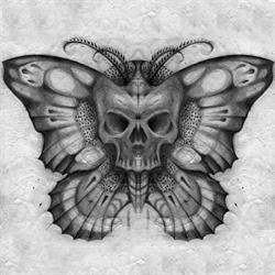 DDT Tattoo