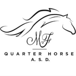 MF Quarter Horse asd
