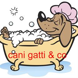 Cani gatti e co   pet shop e toelettatura