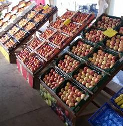 L'angolo Della Frutta 2