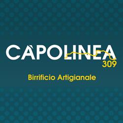 Capolinea 309