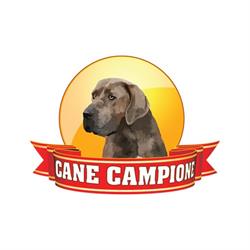 Centro Cinofilo Cane Campione