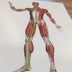 Studio di Fisioterapia Sommacampagna