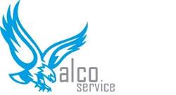 Falco service