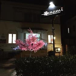 Hanami
