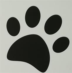Amico del cane