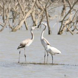 Riserva Naturale San Giuliano