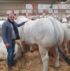 Macelleria Rufolo