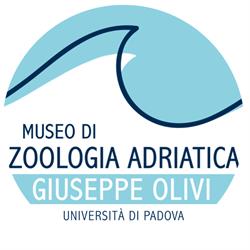Museo di Zoologia Adriatica Giuseppe Olivi