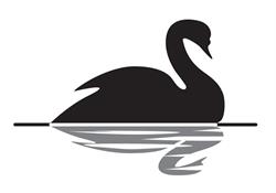 Irish Pub The Black Swan