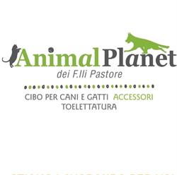 Animal Planet Fisciano Pastore