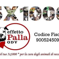 Effetto Palla Onlus