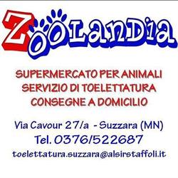 Zoolandia Suzzara