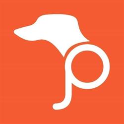 Pettinandog