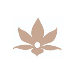 Alkimya