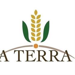 A Terra