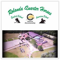 Rolanda Quarter Horses