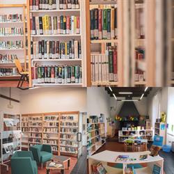Biblioteca Comunale F. Tarchi