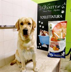 Vanity Pet di Francesco Castilletti