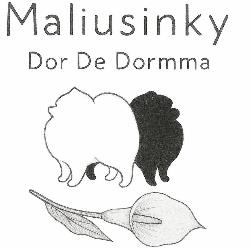 Pomerania Cuccioli
