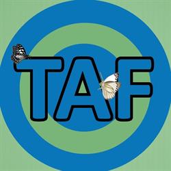 Lavanderia TAF
