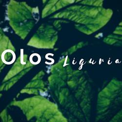 Olos Liguria
