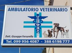 Ambulatorio veterinario-Dott. Giuseppe Fersurella