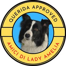 Lady Amelia