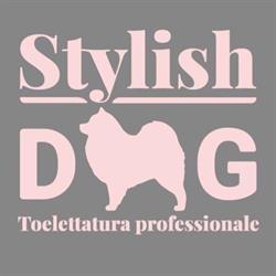 Stylish Dog Toelettatura